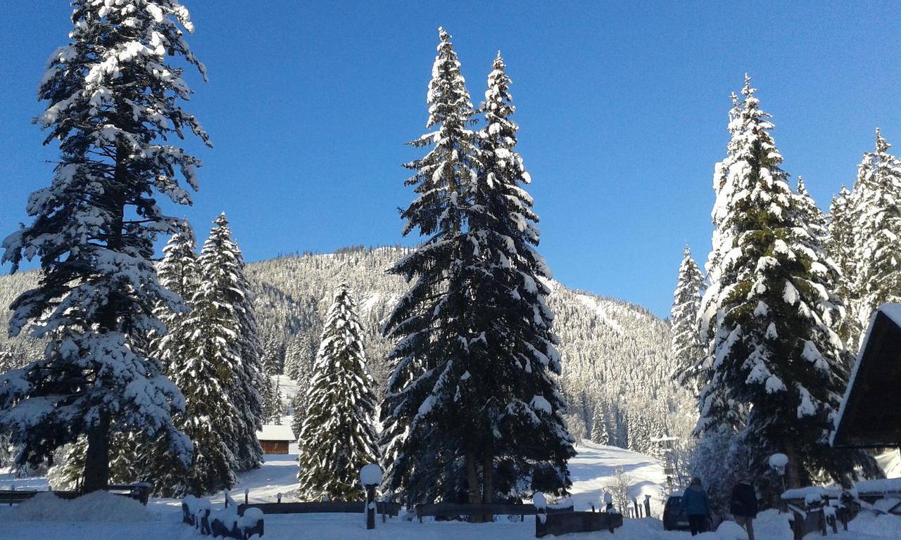 Apartment An Der Traun Bad Aussee Buitenkant foto